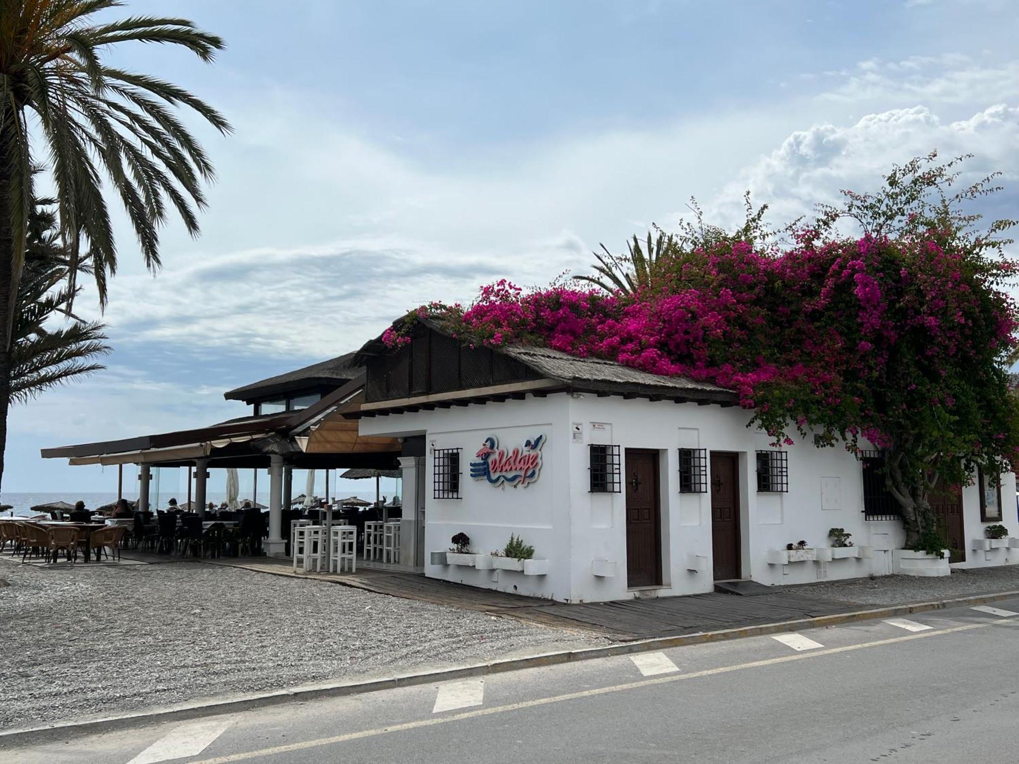 Casa Quijote Lägenhet Granada Exteriör bild